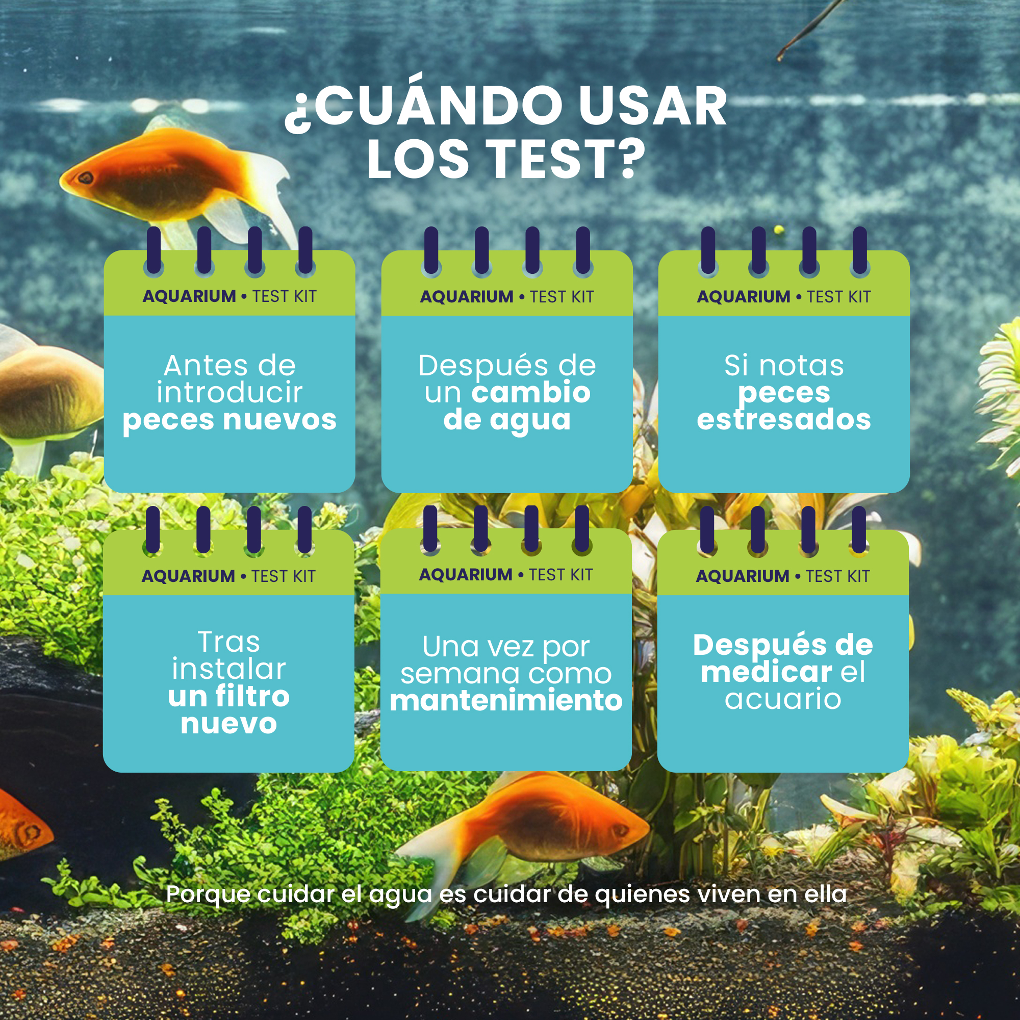 Kit de 160 Tiras Reactivas para Acuario 10 en 1 de Control Garden · foto 3