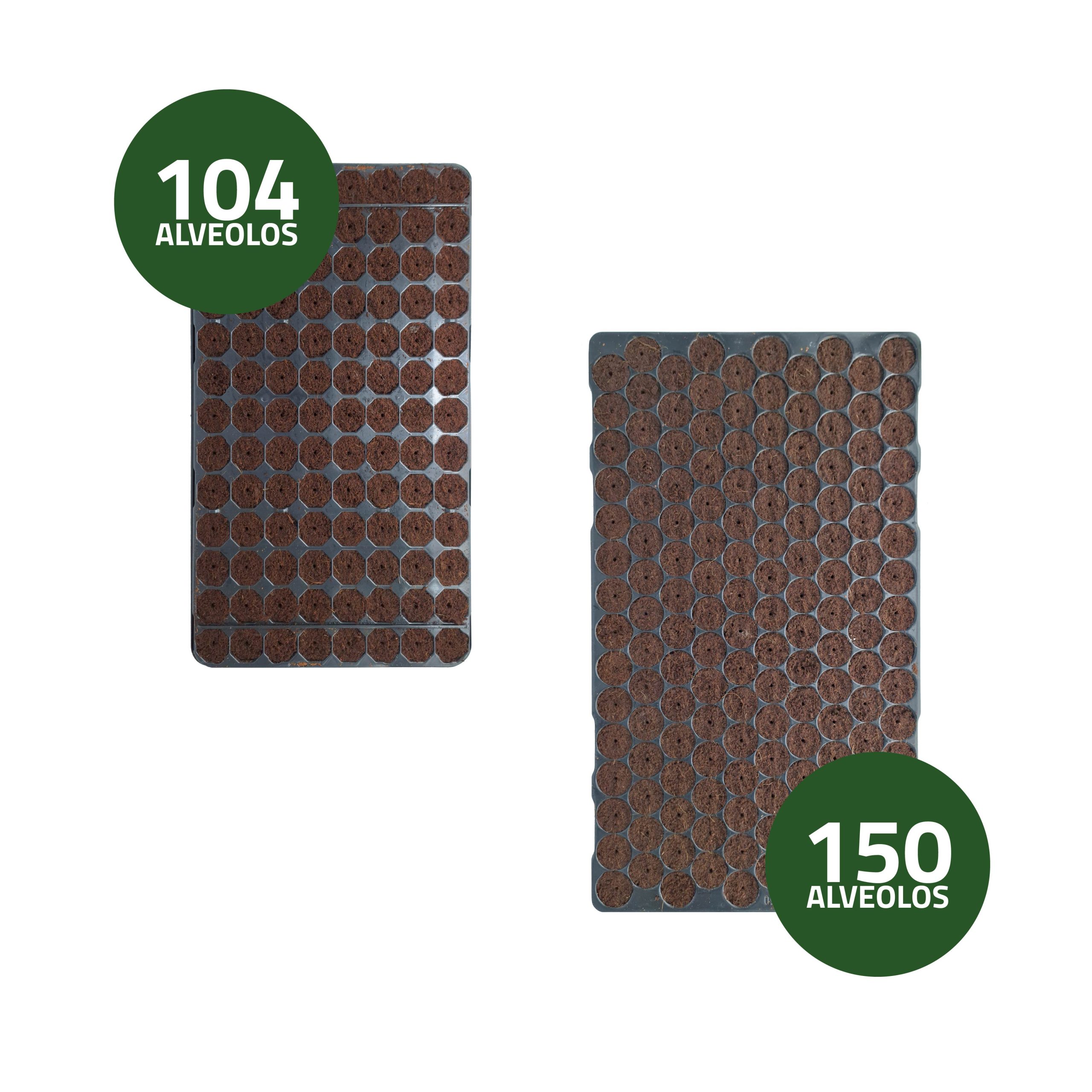 Wet Seed Germination Tray 40 x 30 cm · Pack of 10 units