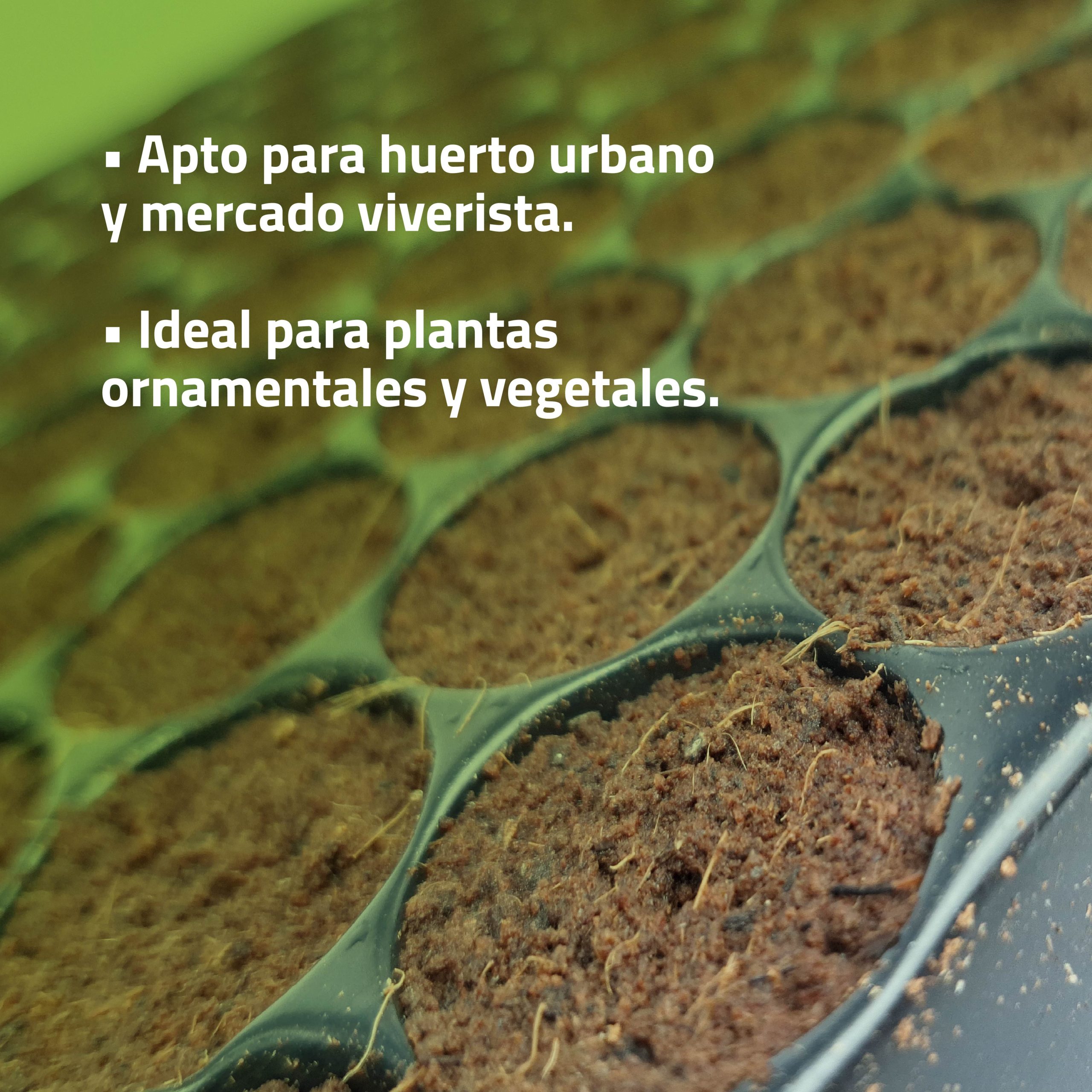 Semilleros húmedos de Control Garden con tapa transparente para germinación · foto 5