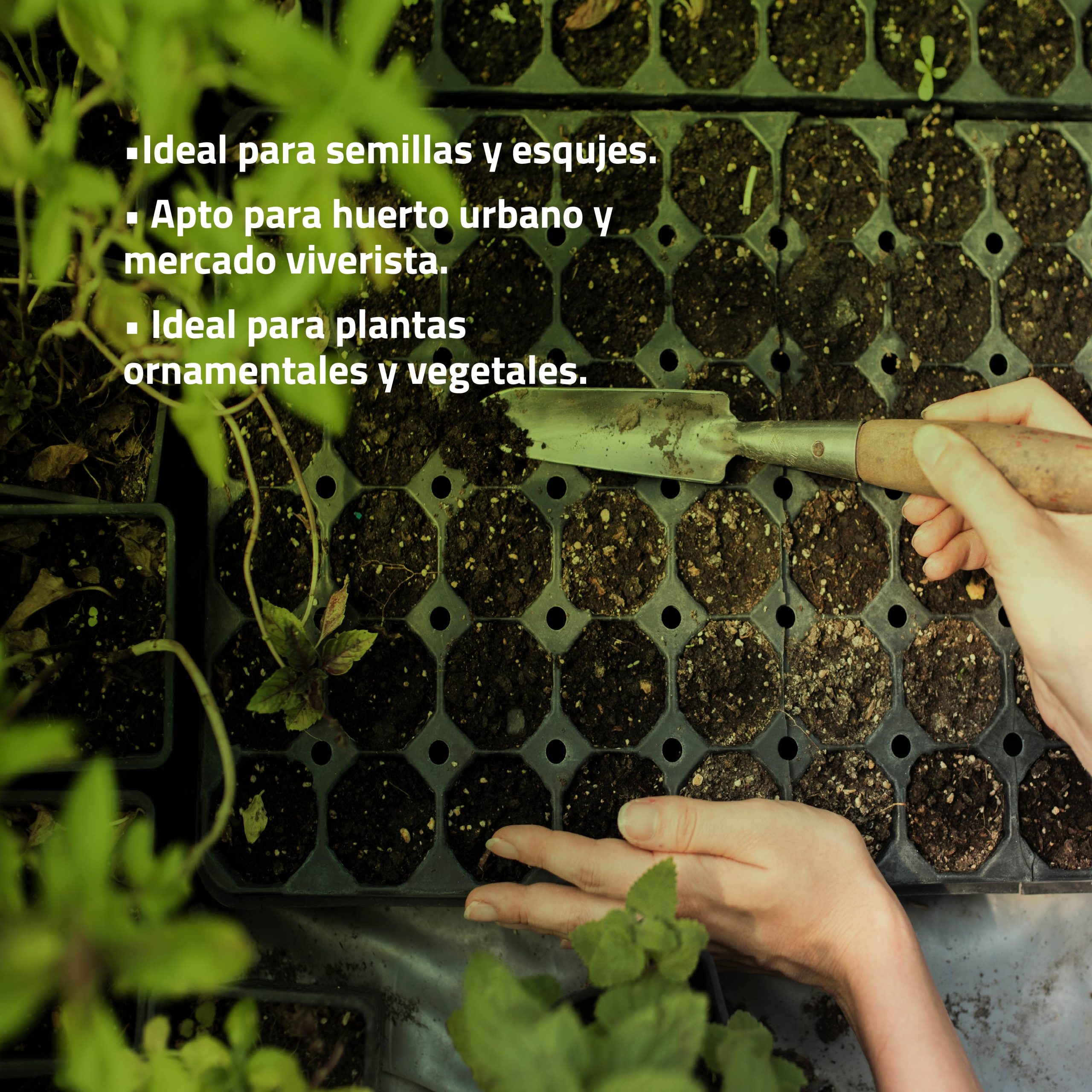 Bandejas de semilleros secos de Control Garden para germinación eficiente · foto 3