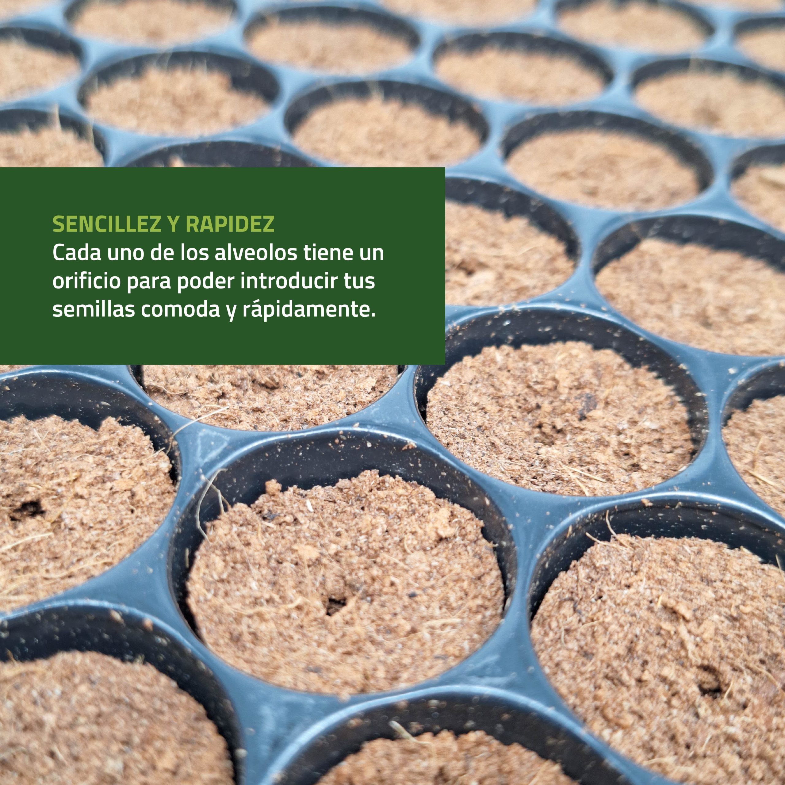 Bandejas de semilleros secos de Control Garden para germinación eficiente · foto 4