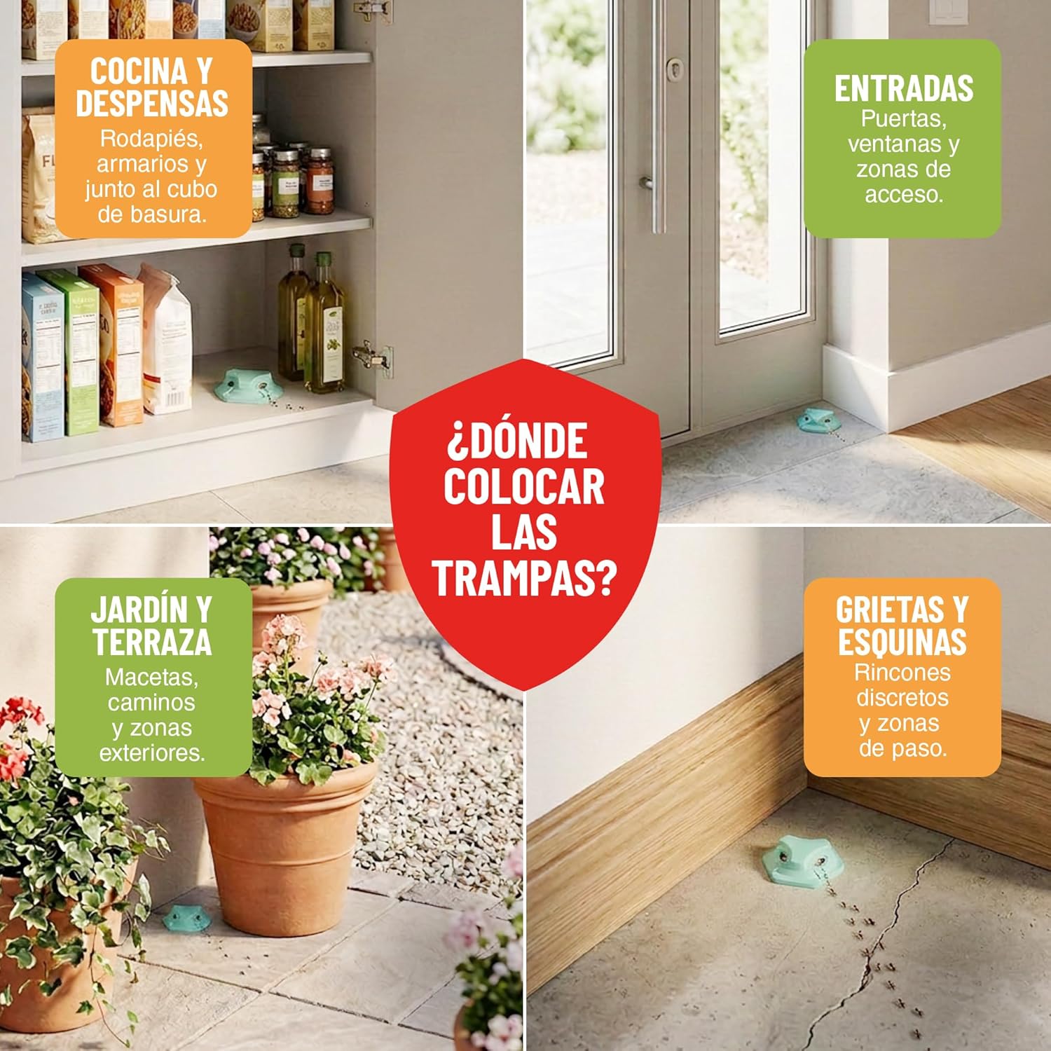 Pack de 4 trampas para hormigas en gel super atrayente de Control Garden · foto 7