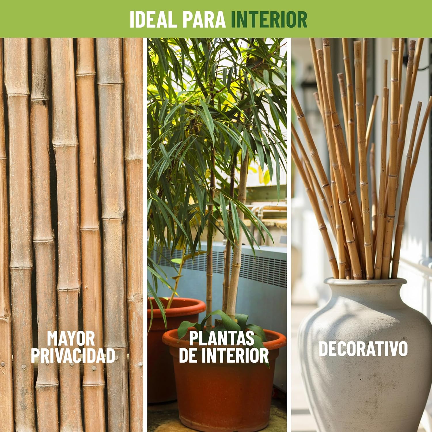 Pack de 60 tutores de bambú natural de 180 cm para soporte de plantas · foto 2