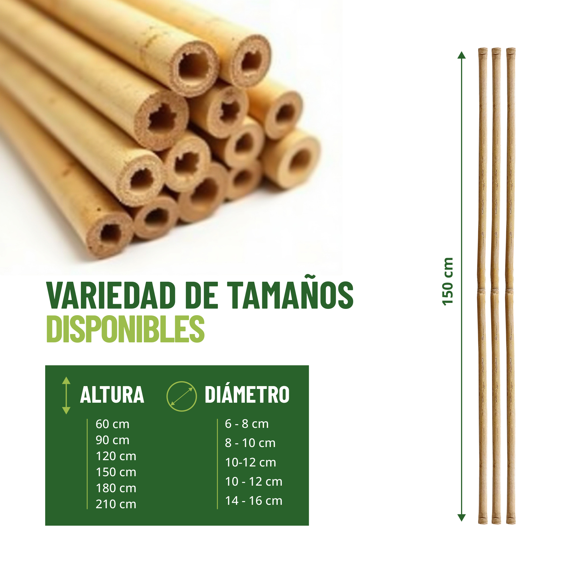 Pack de 30 tutores de bambú natural de 150 cm para soporte de plantas · foto 2