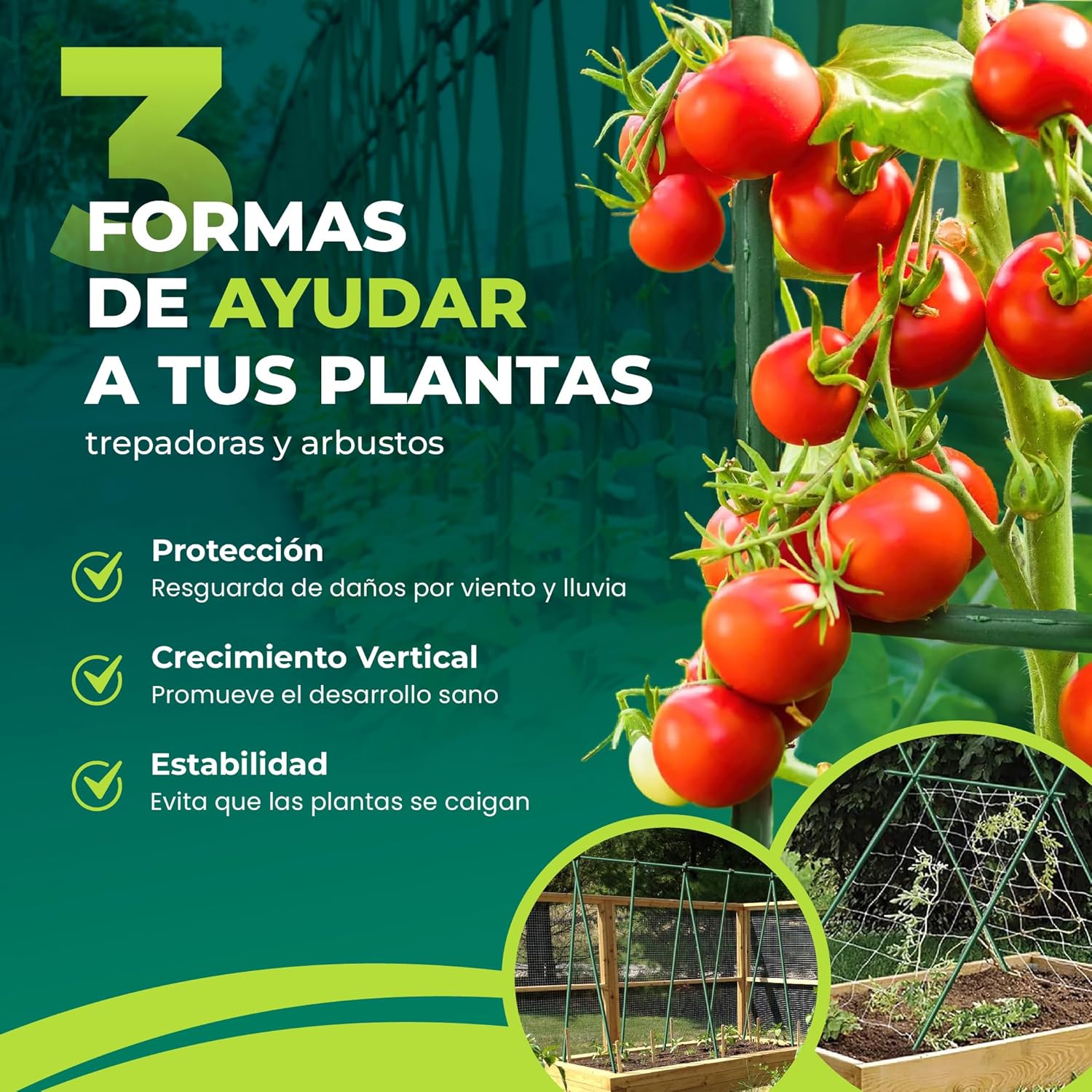 Pack de 10 tutores de acero recubiertos de PVC de 120 cm para jardinería · foto 2